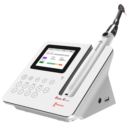 Endo Radar Pro - Endo Motor